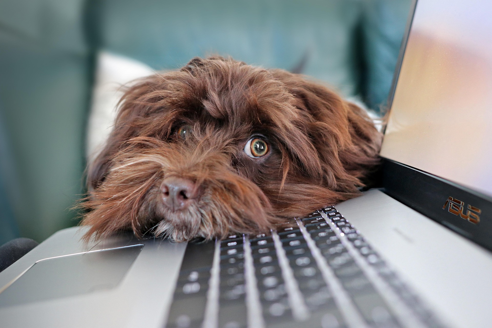 Build an SEO Lead Generation System